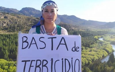 Basta de terricidio